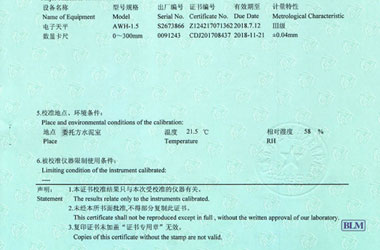 力學成人看片软件AV證書報告說明頁圖片