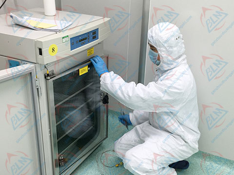 化學成人看片在线观看圖片